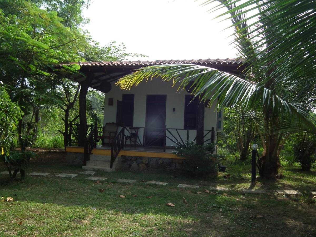 Coconut Island Villa Tangalle Exterior photo