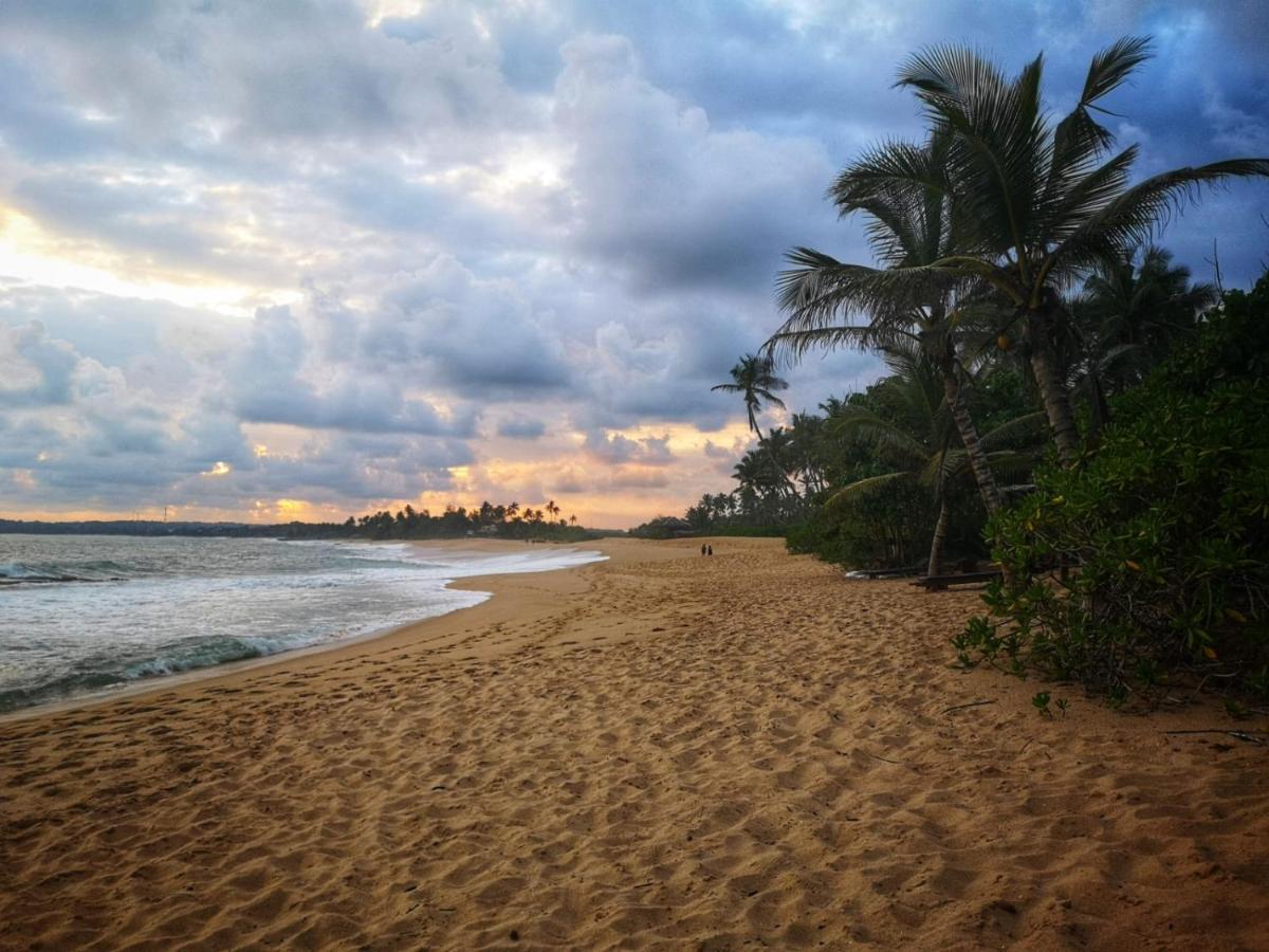Coconut Island Villa Tangalle Exterior photo